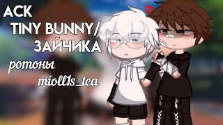 Видео: АСК ЗайчикаTiny bunny || 13