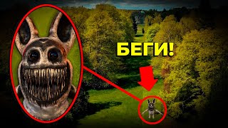 Видео: АНОМАЛЬНЫЙ Монстр ЗАЯЦ нас Пранкует (Zoonomaly Monster Bunny)