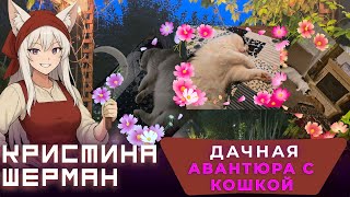 Смотреть видео Кристина Шерман и отдых с кошкой на даче (анонс по Зайчику Tiny Bunny)