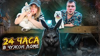 Смотреть видео 24 ЧАСА В ЧУЖОМ ДОМЕ С КОТАМИ | TINY BUNNY ВЕРНУЛСЯ