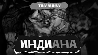 Видео: Индиана. Tiny Bunny (стрим второй)